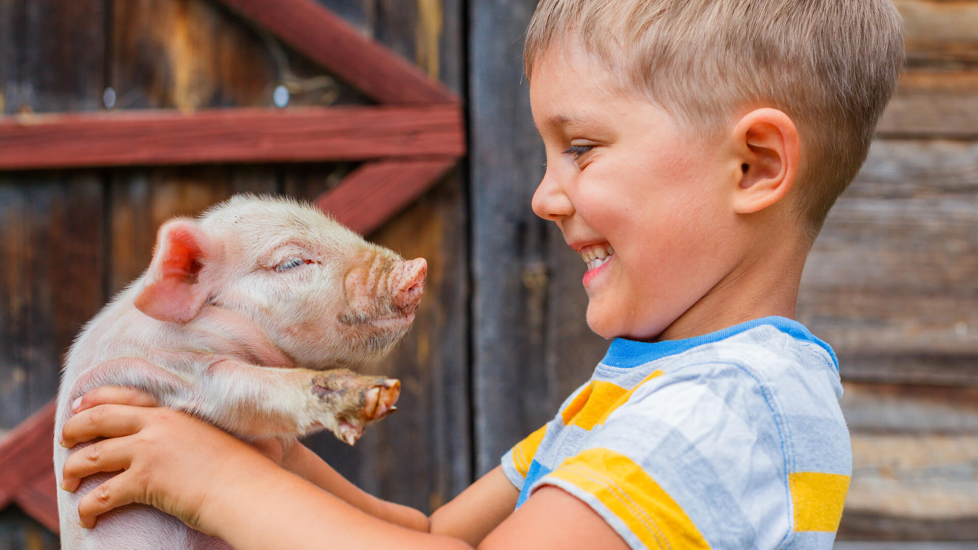 Animal Sounds for Kids