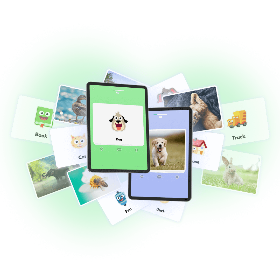 sbpro-websflashcards3-1